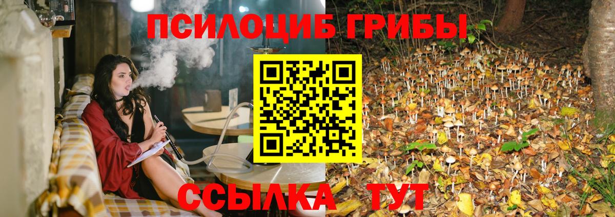 Галлюциногенные грибы MAGIC MUSHROOMS  Вход с VPN  Лобня  Галлюциногенные грибы Psilocybe 